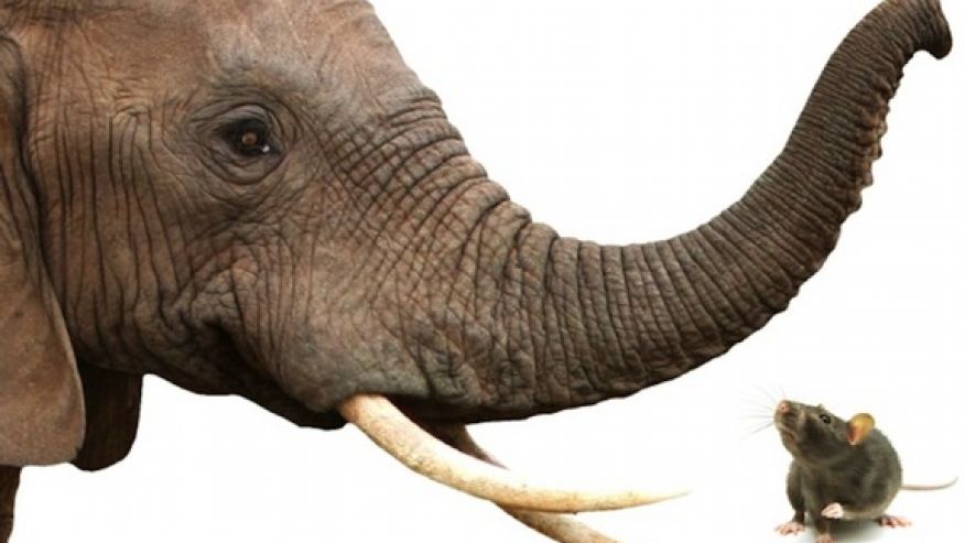 From Cameroon On Being A Hero cameroon on being a hero