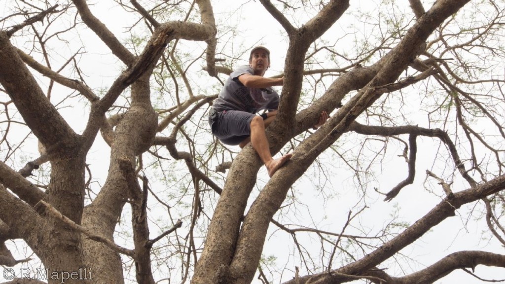 From Uganda On Survival survival