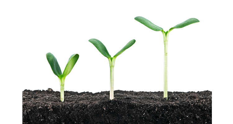 Chrisne Garnier On Maturity maturity