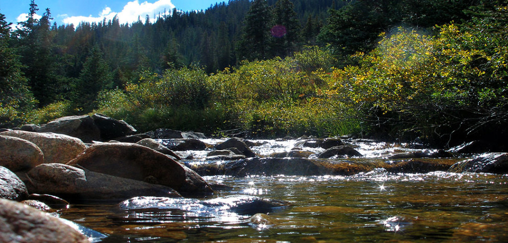 Uganda Proverb on Forgetting Your Source source