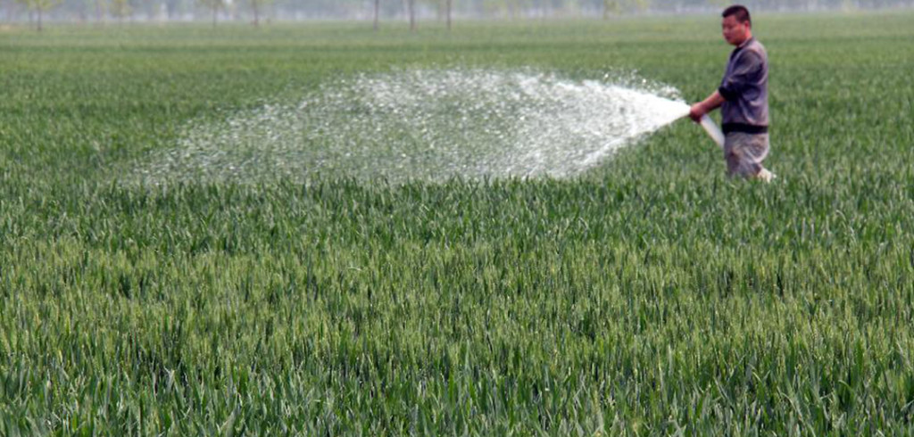 Nigerian Proverb on Harvest good harvest