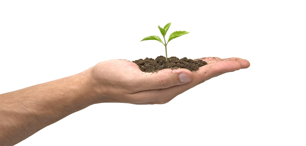 plant yourself where you will blossom