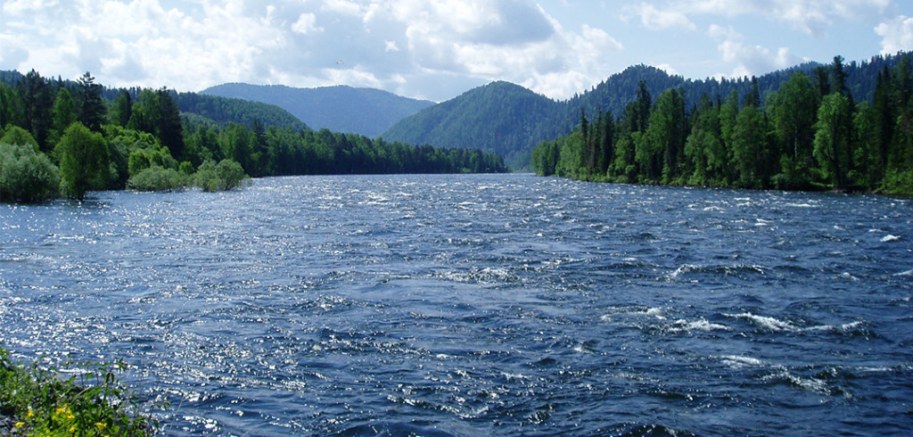 Congo Proverb on Growth river