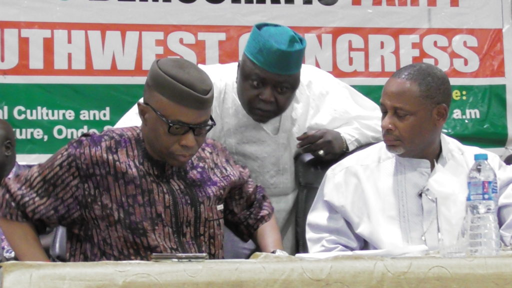 South West PDP elects Olafeso zonal chairman