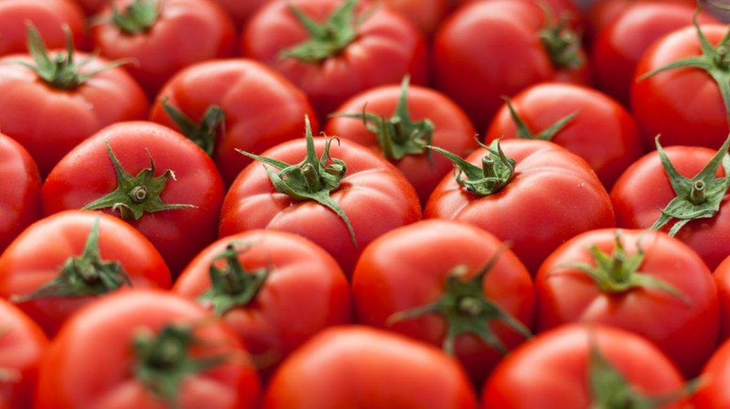 Health benefits of Tomatoes