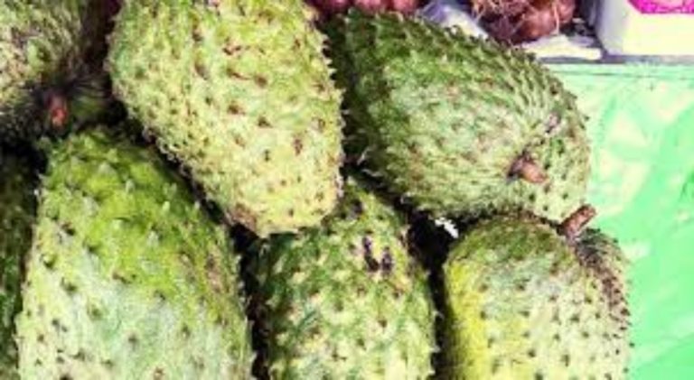 Health benefits of Soursop