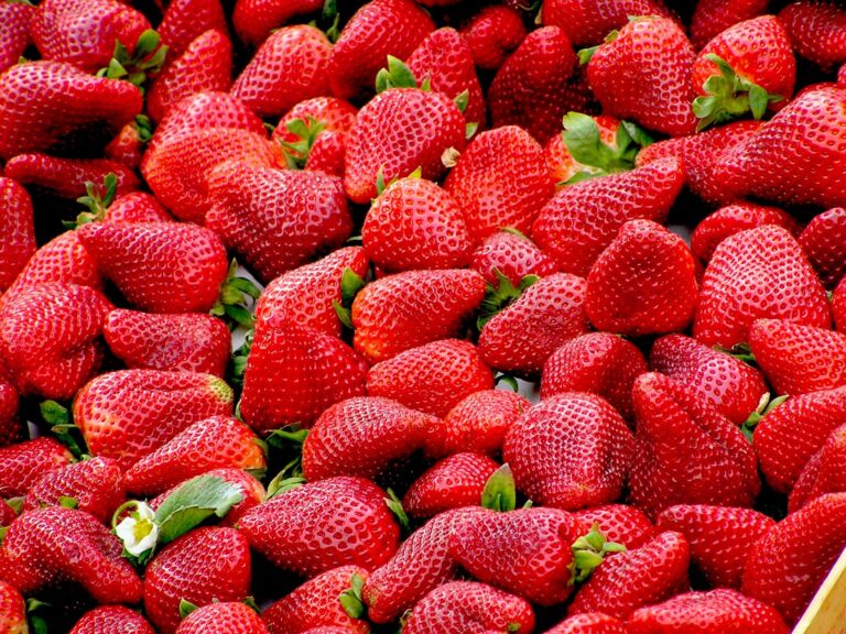 Health benefits of Strawberries