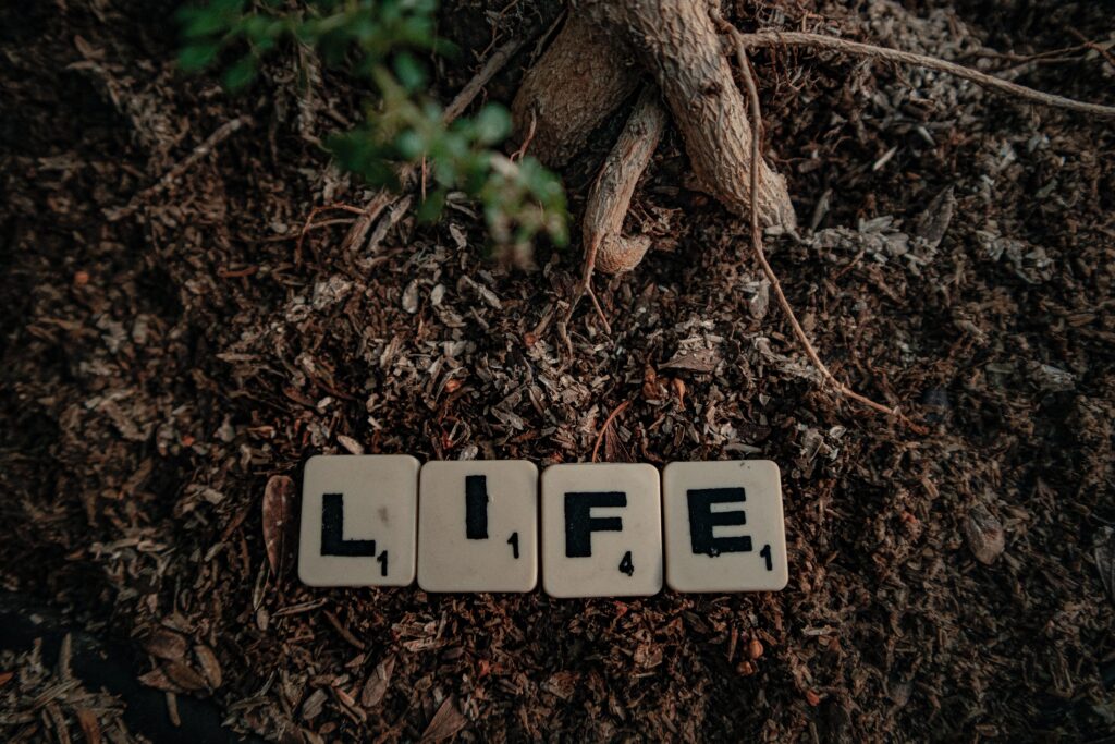 Refresh on Sunday: Losing and Finding Life