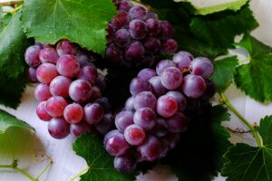 8 health benefits of grapes