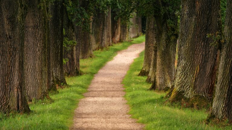 Refresh on Sunday: The divine pathway to greatness