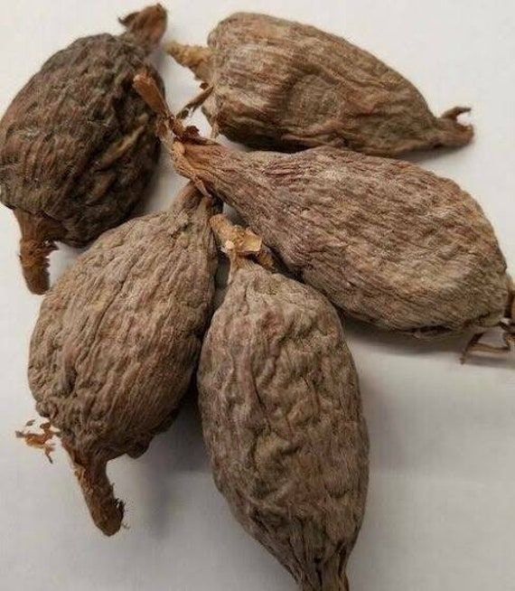 Health benefits of Alligator pepper Health benefits of Alligator pepper