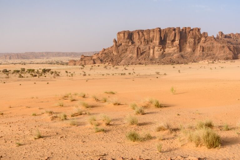 5 countries with notable deserts